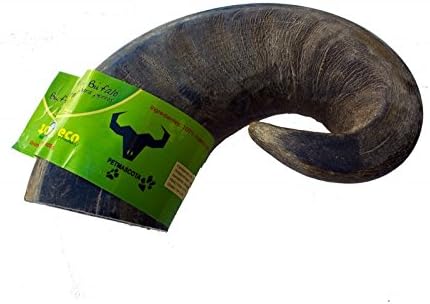 Buffalo horn dog chew, Large size