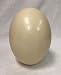 American Feathers Ostrich Eggshells - Premium Grade A