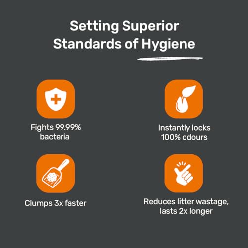Image of Meowsi by HUFT OdourShield Unscented Cat Litter - 5 kg | Honeycomb Activated Carbon for Strong Odour Control | Natural, Low Dust & High Absorbency | Easy Clumping Litter for Cats