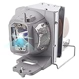 LBTbate DETE BL-FP240E FP240G Replacement Projector Lamp for Optoma UHD60 UHD65 UHD50 UHD51A UHD51 UHD40 UHD300X UHD550X UHD400X UHD30 UHD370X UHD51/A UHD52ALV HD143X HD144X HD27e Replacement Bulb