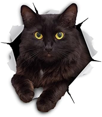 Winston & Bear 3D Cat Stickers - 2 Pack - Black Cat Wall Decals - Cat Wall Stickers for Bedroom - Fridge - Toilet - Car - Retail Packaged