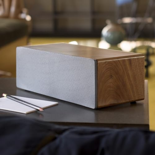 Image of Audioengine All in One A2+ (B2) Portable Wireless Speaker - Audio with Lossless aptX Bluetooth and Analog Audio Input for Phone, Tablet, and Computers