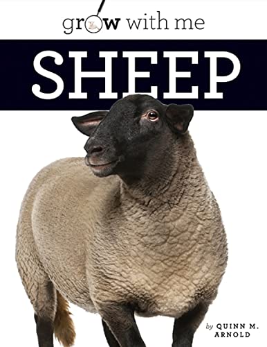 Sheep (Grow With Me)