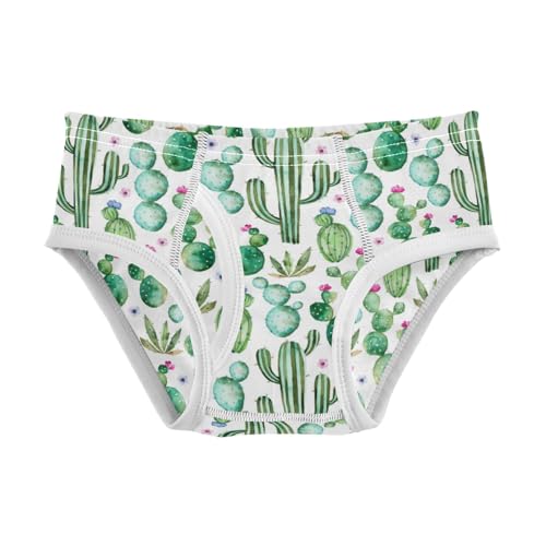 Boys' Exclusive Briefs Toddler Underwear 95% Combed Cotton Boxerbriefs 2T Cactus Pattern 8