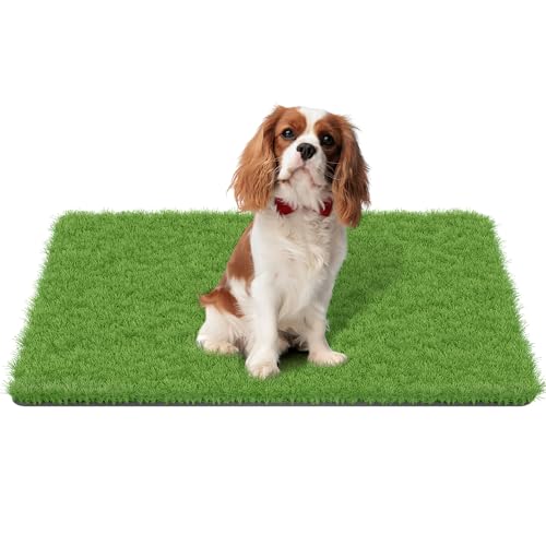 MAYSHINE Fake Grass for Dogs, Artificial Turf Grass Indoor Outdoor, Mat for Dogs Soft Blades, Cesped Artificial for Patios, Dog Astro Turf for Balcony, Quick Clean, Easy Rinse Patio Rug, 35"x24"