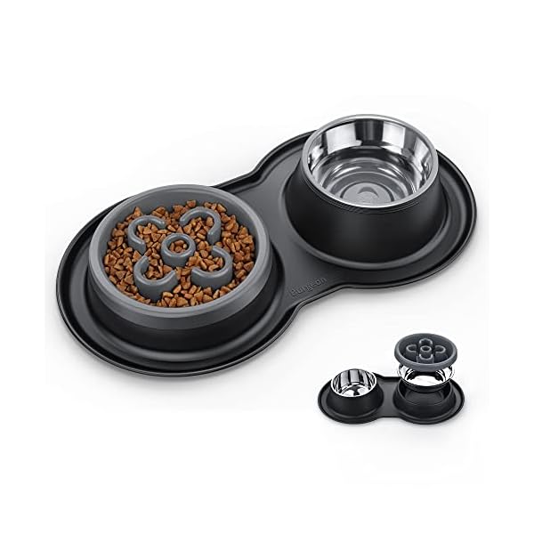 4-in-1 Dog Bowls Set