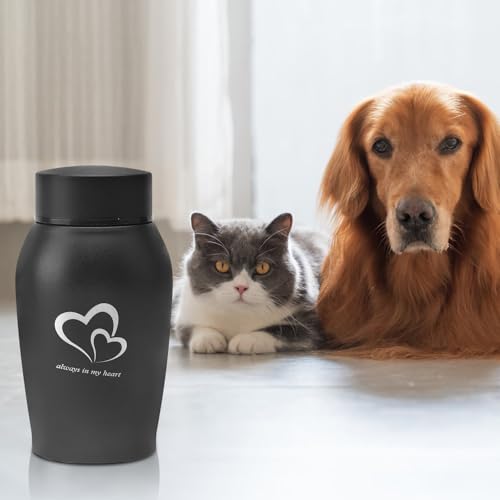Urne Hund Tierurnen für Hunde Katze Haustierurne Edelstahl mit Stift Katzenurne Schwarz, Tragbare Hundeurne Haustier-Gedenkurne Tierurne Urnen für Hunde Katzenurnen für Zuhause Urn für Hunde Katzen