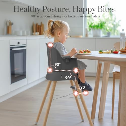 Image of Mallify 6 in 1 Convertible Baby High Chair with Removable Double Tray | Adjustable Infant Booster Seat, Steel Frame, Highchairs for Babies and Toddlers with 5-Point Harness, Easy to Clean & Install