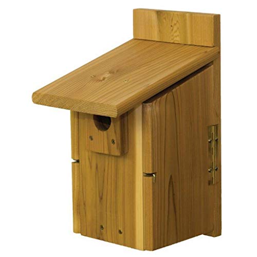 Stovall 2HUW Western Mountain Bluebird House