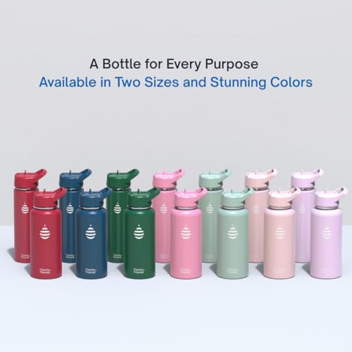 Clearly Filtered Water Bottle | Removes 220+ Contaminants, Double-Wall Insulated Stainless Steel, BPA/BPS Free, Phthalate Free, Filters Flouride Lead Chlorine (20oz, Sage Gray)
