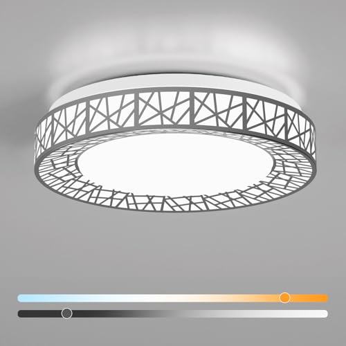 Lightania 16 Inch Flush Mount Ceiling Light, Modern Brushed Nickel LED Ceiling Light Fixture, 28W 2800LM 2700-6500K Adjustable, Dimmable Ceiling Lights for Bedroom, Kitchen, Hallway, Bathroom, ETL