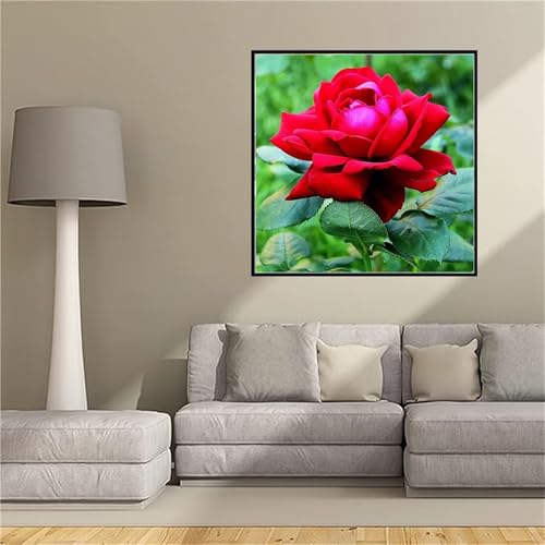 Broderie Peinture Diamant Rose Rouge 5D Kit Complet Toile 100x100cm Strass Point de Croix JI1
