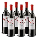 DELINAT – Canta Rasim 2023 – Französischer Rotwein trocken – Bio-Wein aus dem Languedoc, vegan (6 x 0,75l)