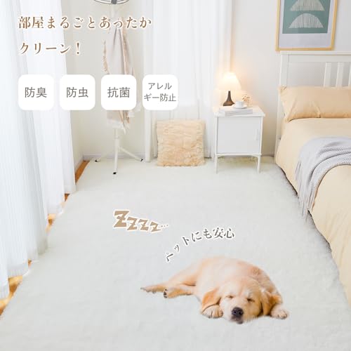 Bestome カーペット ラグマット 160×200CM 滑り止め付 洗えるラグ 抗菌 ふわっとした手触り 防音絨毯 長方形 約2畳 ブラウン [2]