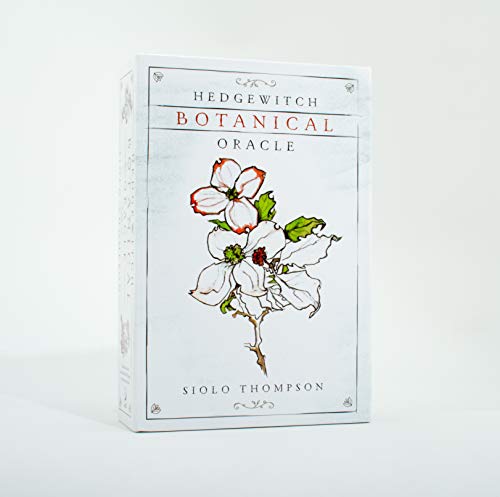 Preisvergleich Produktbild Hedgewitch Botanical Oracle