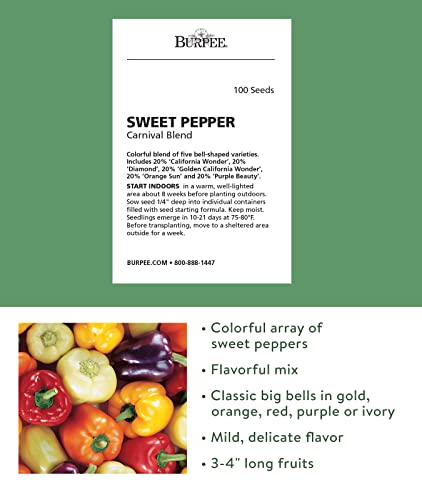 Burpee Carnival Mix Sweet Pepper Seeds 100 Seeds #TOP1