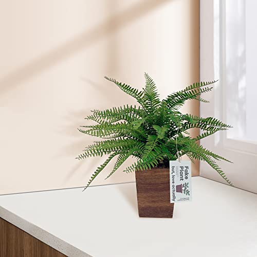 Best Artificial Fern In A Pot