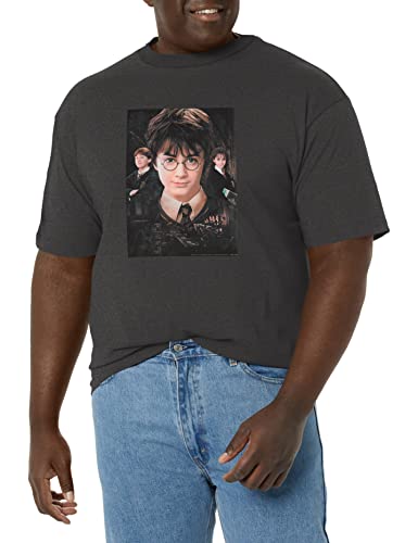 T-Shirt Warner Bros Le Trio Gris pour les Week-ends Détente