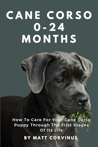  Cane Corso 0-24 Months: How To Care For Your Cane Corso Puppy Through The First Stages Of Its Life (English Edition)