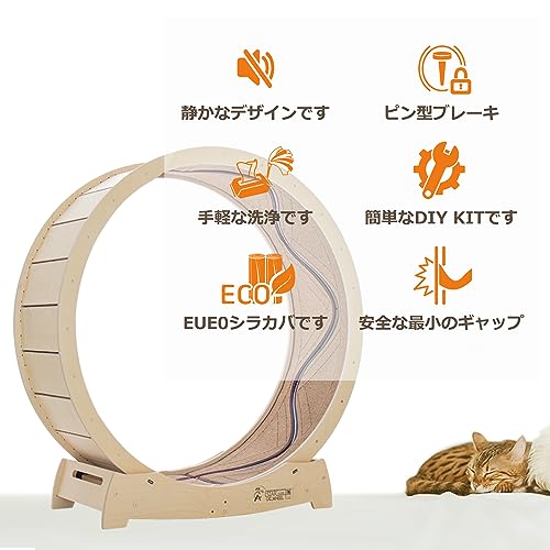 Star Cat Wheel, Cat Treadmill, Exercise Wheel for Running, Spinning, Scratching, and Climbing for Indoor Cats, Premium Birch Wood, Eco-Friendly, Moving Fish, Wide Running Track, 41.7 inch L Size - Image 5