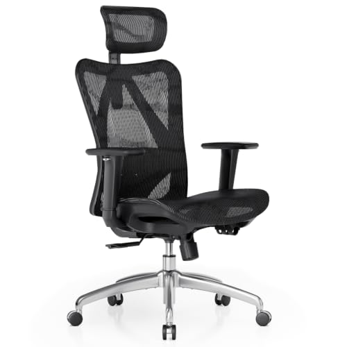SIHOO M57 Ergonomic Office Chair, Mesh Back Desk Chair with 3D Armrests