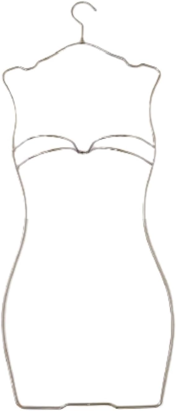 Swimwear Storage Solution for Closet with Bikini Hanger, Silver