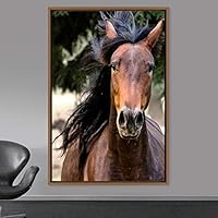 Framed Canvas Wall Art Horse Animals Dramatic Farmhouse/Country Horse Living Room Multicolor Photography - 16x24 inches