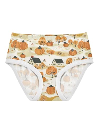 ZZKKO Fall Farmhouse Orange Pumpkin Girls Underwear Toddler Panties for Girls Comfort Brief Size 2T