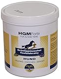 deutsche produkte die es in china nicht gibt Lassen Sie Ihren Hund wieder strahlen! Unser Gelenkpulver lindert Alters- Beschwerden, sodass Ihr treuer Begleiter wieder voller Energie ist.