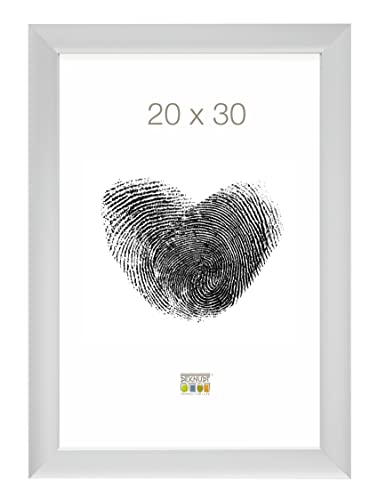 S021D1-20.0X30.0 - Cornice portafoto 20 x 30 cm Colore: alluminio argento