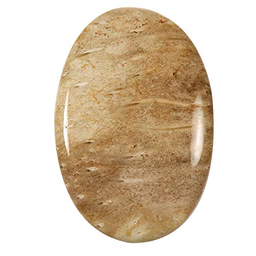 Agate de racine de palme naturelle cabochon pour sublimer vos tenues bohèmes chic