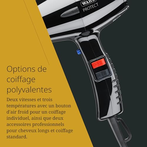 Sèche-cheveux professionnel puissant brossage cheveux épais