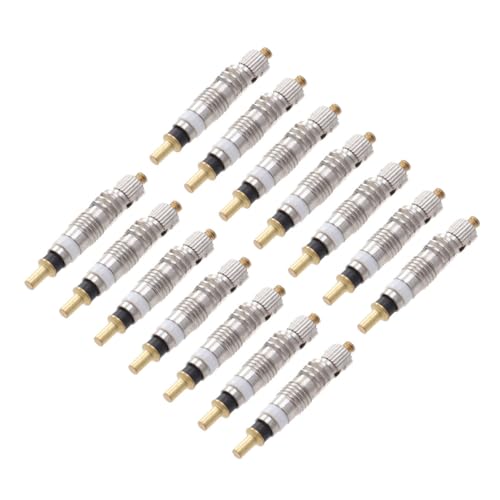 FOYTOKI 12 Piezas de Núcleo del Vástago del Neumático para Bicicleta Tubeless de Carretera, Metal Resistente Corrosión y Seguro para Accesorios Bici