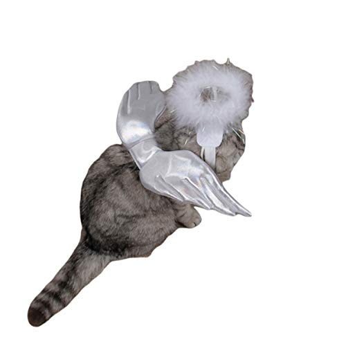 Vohawsa Pet Cat Dog Costumes, Halloween Puppy Cat Bat Wings Spider Cosplay Clothes, Pet Dress Up Accessories Pet Supplies (S, Angel Wing) #TOP1