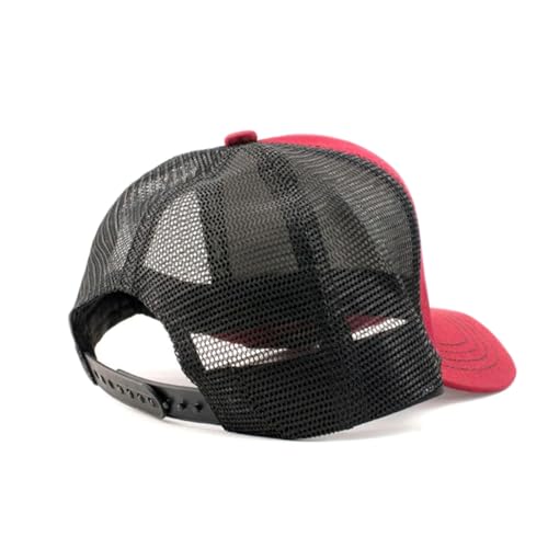 Béisbol, Sports tiendas beisbol en mexico Marca P´OOK CULTURE MX (3)