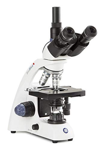 Euromex BioBlue EVO 1000X Trinoculair