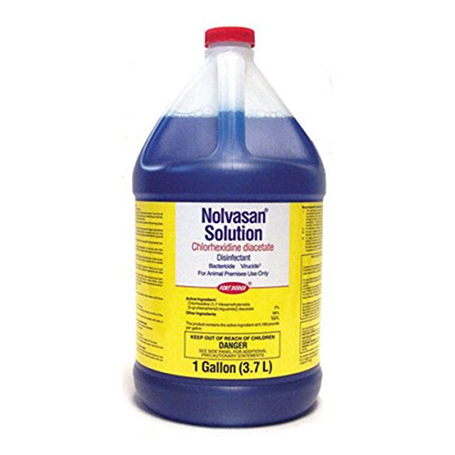 Zoetis Nolvasan Disinfectant Solution, 1 Gallon WantItAll