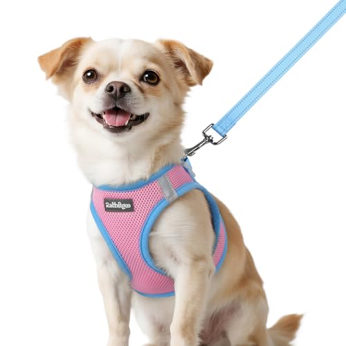 rabbitgoo Step-In Harness & Leash Set (Pink & Light Blue, XXS)