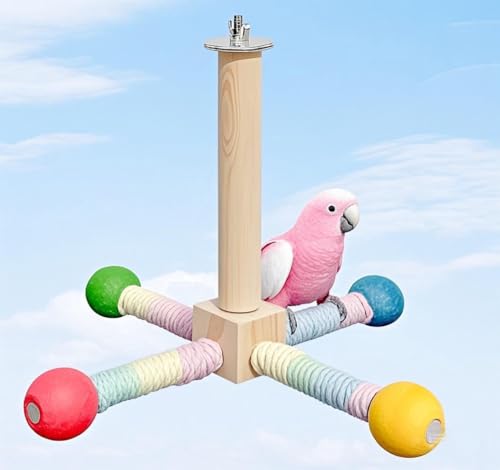 Image of Bird Spinner Toy, Tyotrbs Bird Perch Toy, Parrot 360 Interactive Rotating Toy, Budgie Cage Accessories for Small Birds to Expend Energy, Wooden Stand for Parakeet Cockatiel Lovebird Conures
