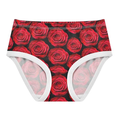 Joisal Toddlers Underwear Floral 2t Cotton Little Girl Panties Personalized Kids Briefs Undies Red Roses Floral Black