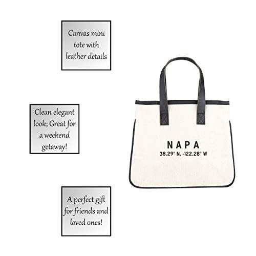 Image of Santa Barbara Design Studio Hold Everything Tote, Black /White 100% Cotton Canvas, Genuine Leather Handles, Mini