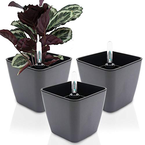 GreenSun self-Watering Planter eco-Friendly Flower Pot Decorative Garden Flower Pot 5 inch,Water Level