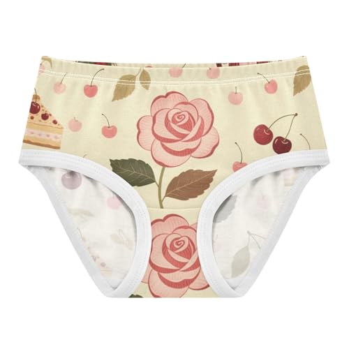 Girls' Underwear Cherry Flowers Floral Toddle Brief Panties 2-8 Years 20300737