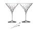 Reed & Barton Soho Martini Set of 2 with Olive Picks