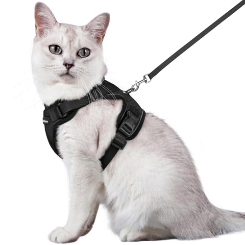 rabbitgoo Katzengeschirr mit Leine Schwarz Softgeschirr für Katze Brustgeschirr Cat Harness Katzengarnitur ausbruchsicher verstellbar Katzenweste...