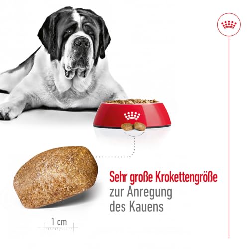 ROYAL CANIN Giant Adult Trockennahrung für Hunde – 15 kg
