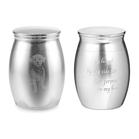 Albertband Personalized Small Photo Urn for Ashes Cremation Keepsake Mini Funeral Urns for Human Pets Ashes Stainless Steel Memorial Ashes Holder Boxes (#Silver) Cover