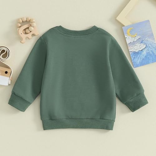Image of Baby Boy Girl Pumpkin Sweatshirt Tops Toddler Halloween Outfit Long Sleeve Crewneck Pullover Sweater Shirt Fall Clothes