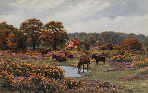 Lienzo de arte premium New Forest Ponis de Alfred Robert Quinton, pintura para oficina