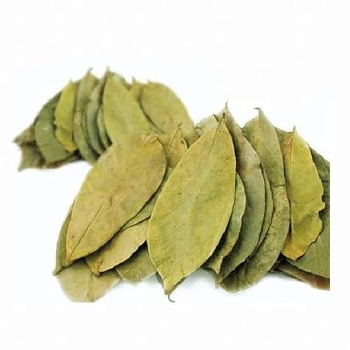 Yerbero - Whole Dried Graviola Soursop Leaves ( 8 oz - 660+ Leaves Per Bag ) Hoja De Guanabana Seca, Crafted By Nature 100% All Natural Delicious Fresh Tea | From Mexico | Premium Wildcrafted Quality.